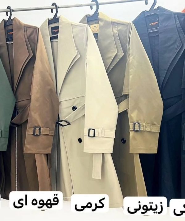 بارونی ملودی - Image 7